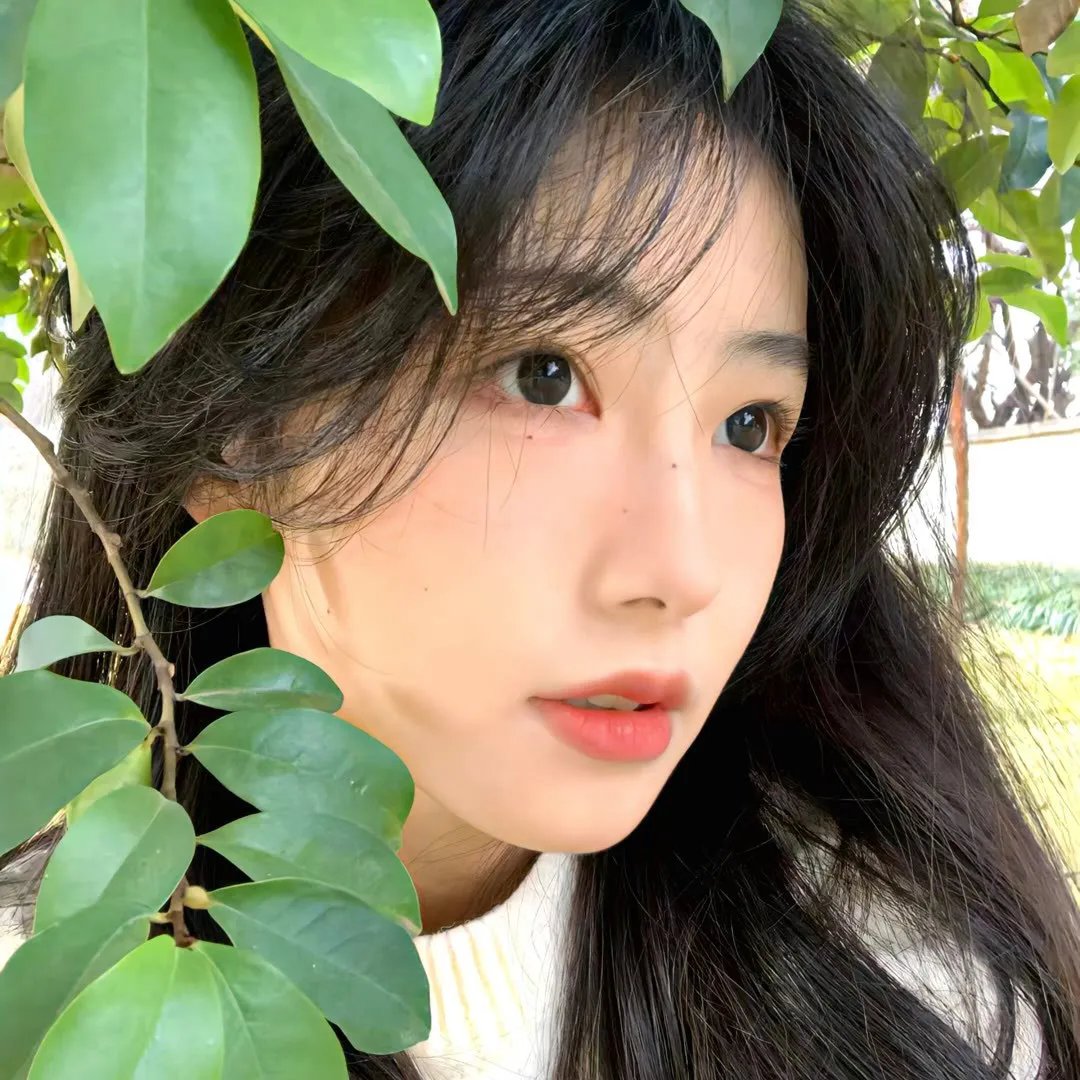 虫图腾