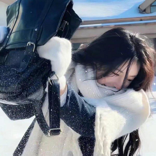 八面玲珑的申小姐