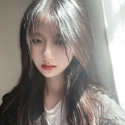 极岛森林第二季